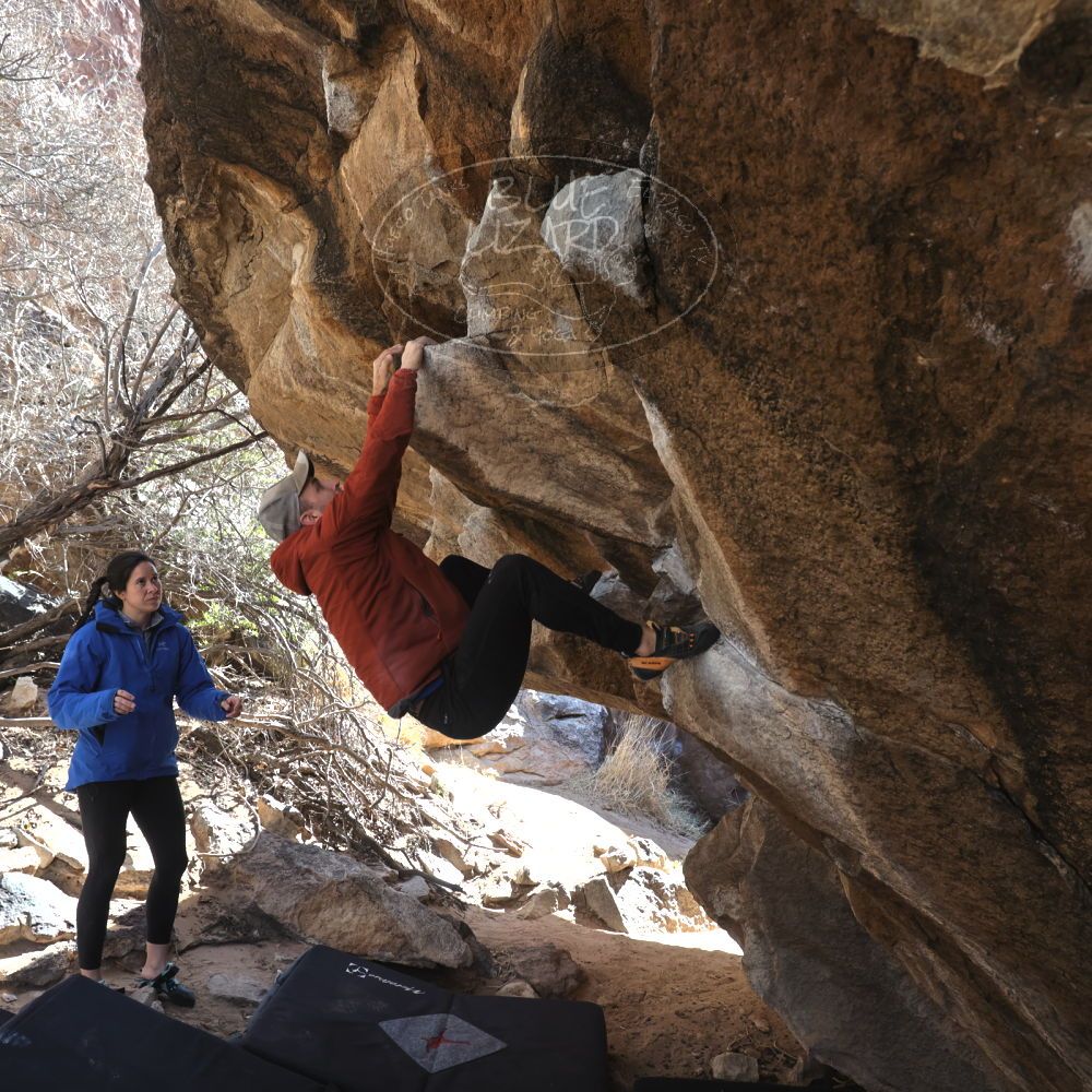 

Filename: SRM_20230217_1244320.jpg
Aperture: f/5.6
Shutter Speed: 1/320
Body: Canon EOS R6
Lens: Canon EF 16-35mm f/2.8 L