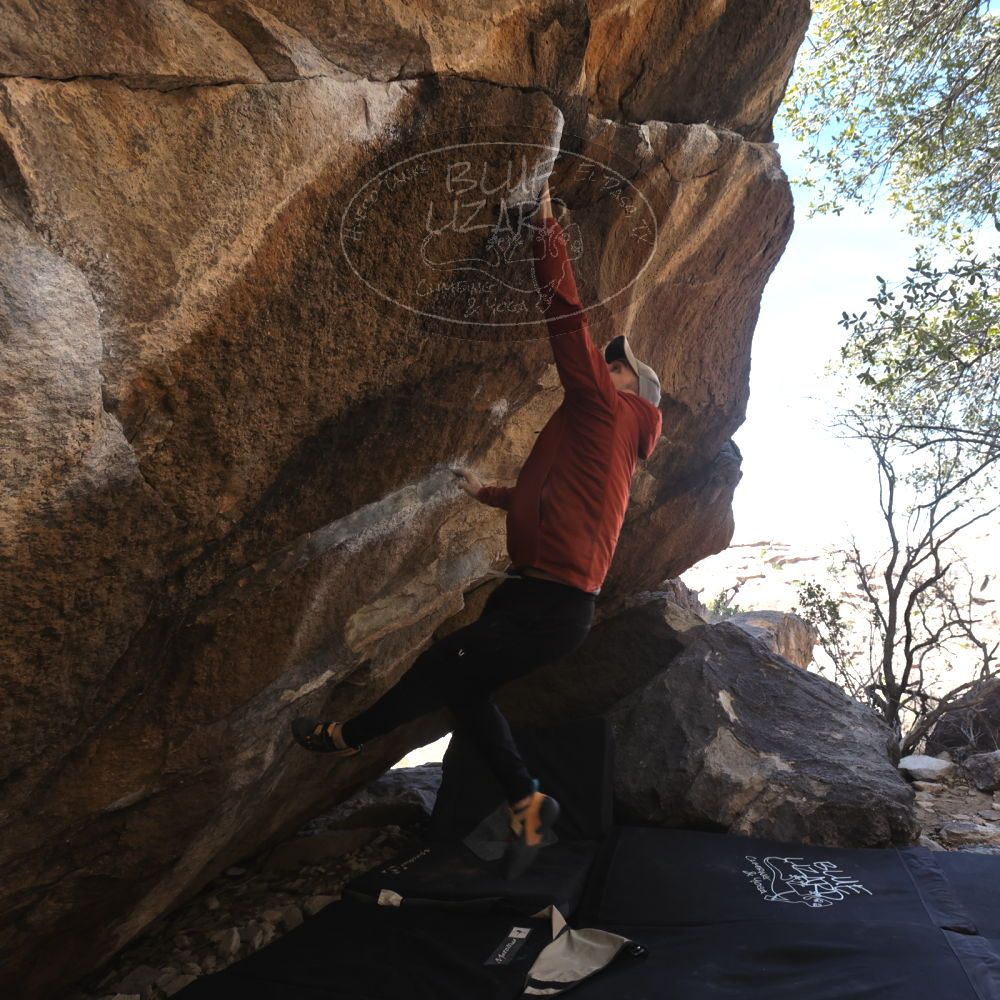 

Filename: SRM_20230217_1301430.jpg
Aperture: f/5.6
Shutter Speed: 1/320
Body: Canon EOS R6
Lens: Canon EF 16-35mm f/2.8 L