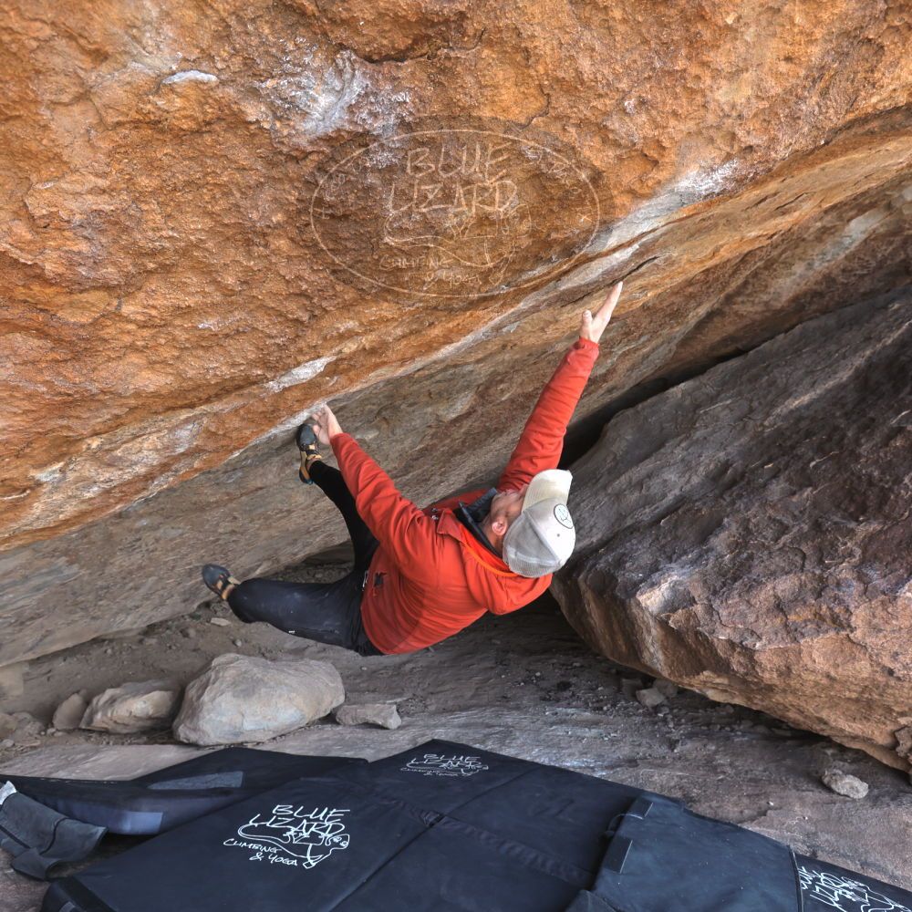 

Filename: SRM_20230217_1333120.jpg
Aperture: f/5.6
Shutter Speed: 1/500
Body: Canon EOS R6
Lens: Canon EF 16-35mm f/2.8 L