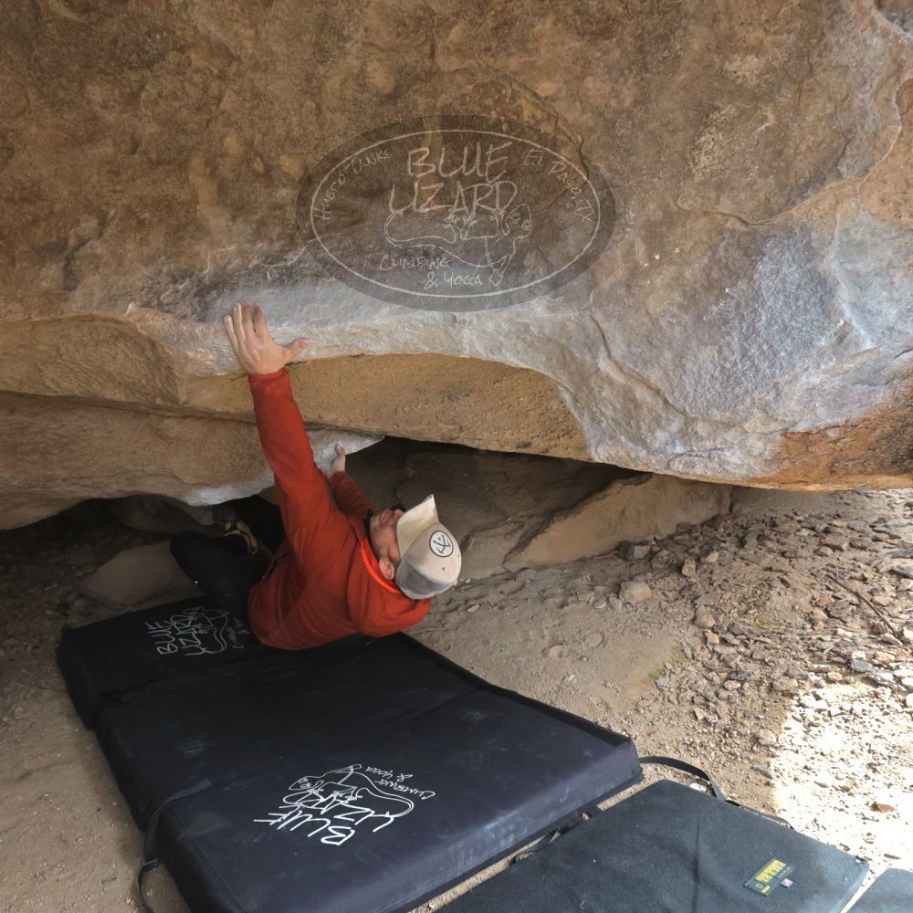 

Filename: SRM_20230217_1358370.jpg
Aperture: f/5.6
Shutter Speed: 1/500
Body: Canon EOS R6
Lens: Canon EF 16-35mm f/2.8 L