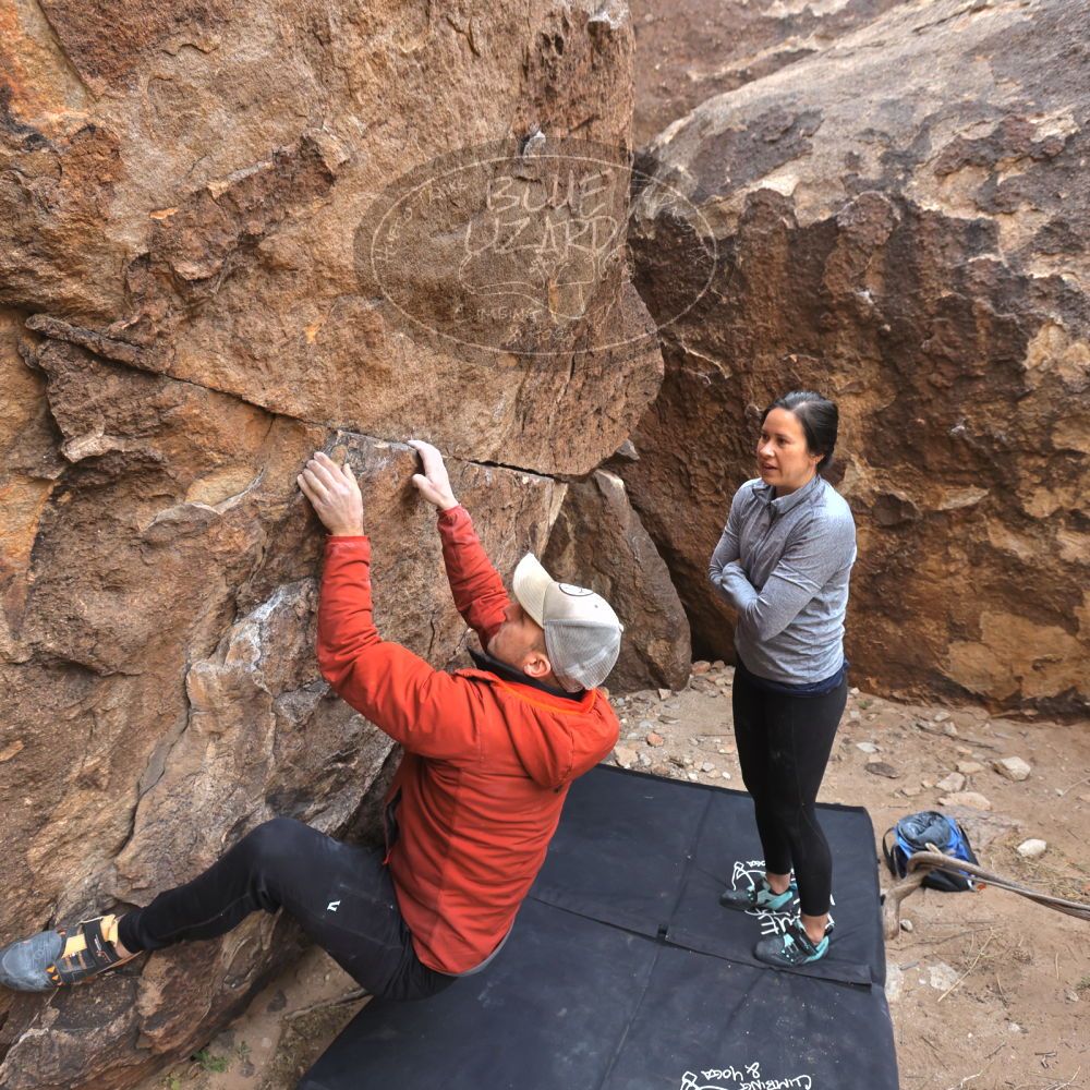 

Filename: SRM_20230217_1421010.jpg
Aperture: f/5.6
Shutter Speed: 1/500
Body: Canon EOS R6
Lens: Canon EF 16-35mm f/2.8 L