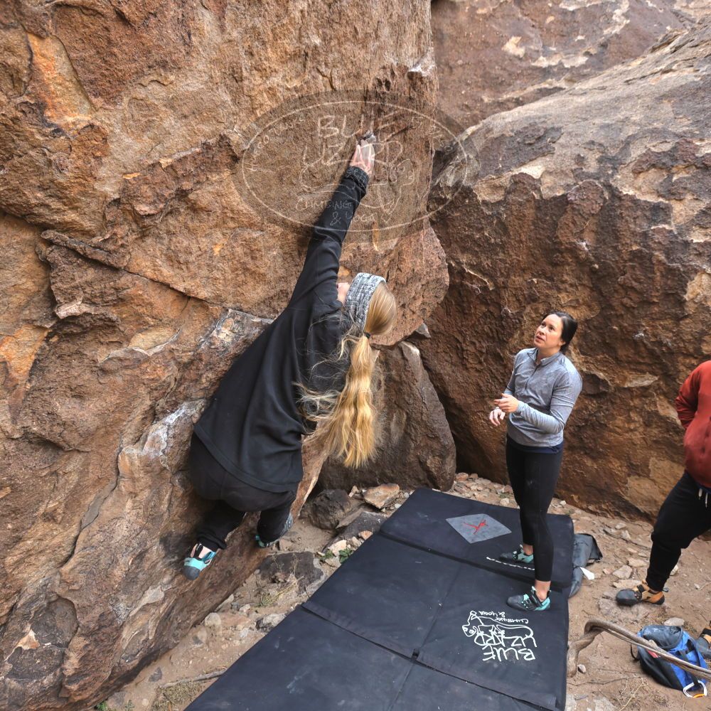 

Filename: SRM_20230217_1422200.jpg
Aperture: f/5.6
Shutter Speed: 1/500
Body: Canon EOS R6
Lens: Canon EF 16-35mm f/2.8 L