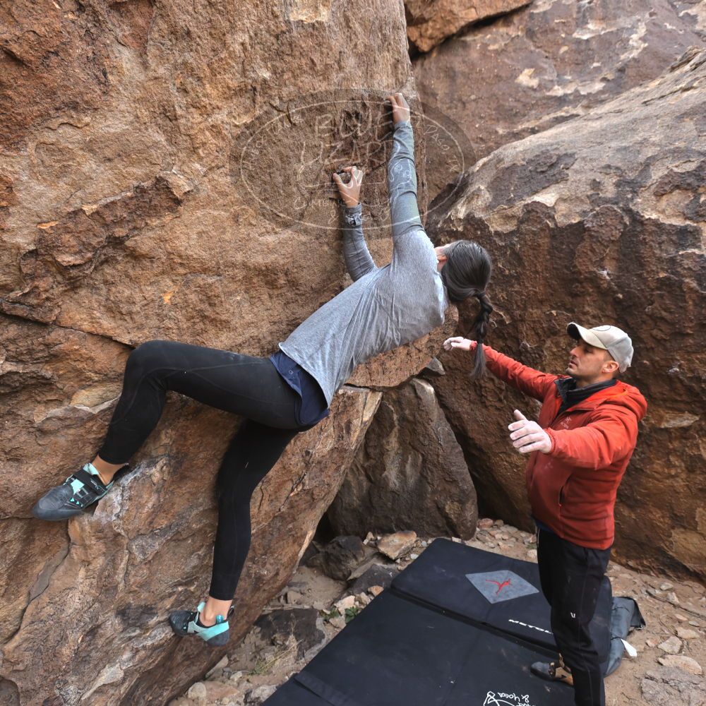 

Filename: SRM_20230217_1423470.jpg
Aperture: f/5.6
Shutter Speed: 1/500
Body: Canon EOS R6
Lens: Canon EF 16-35mm f/2.8 L