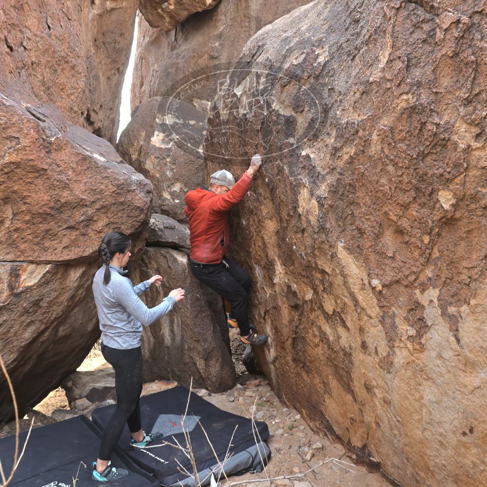 

Filename: SRM_20230217_1426160.jpg
Aperture: f/5.6
Shutter Speed: 1/500
Body: Canon EOS R6
Lens: Canon EF 16-35mm f/2.8 L