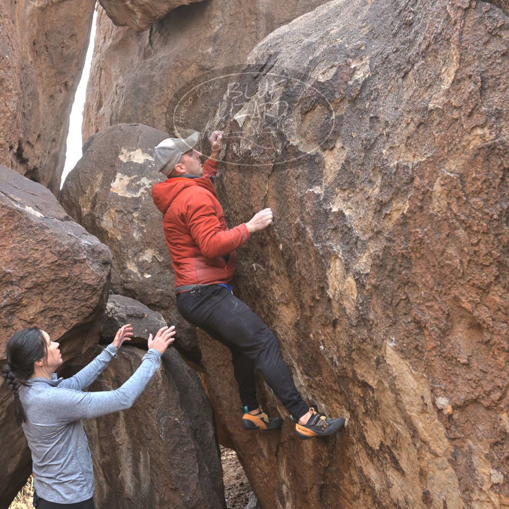 

Filename: SRM_20230217_1426190.jpg
Aperture: f/5.6
Shutter Speed: 1/500
Body: Canon EOS R6
Lens: Canon EF 16-35mm f/2.8 L