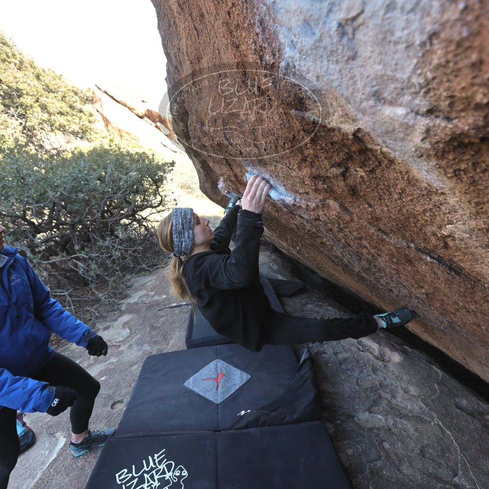 

Filename: SRM_20230217_1527520.jpg
Aperture: f/5.6
Shutter Speed: 1/320
Body: Canon EOS R6
Lens: Canon EF 16-35mm f/2.8 L