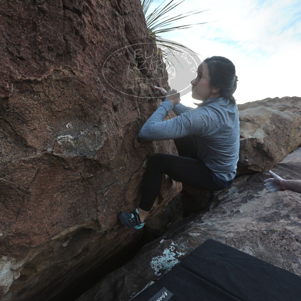 

Filename: SRM_20230217_1617060.jpg
Aperture: f/5.6
Shutter Speed: 1/320
Body: Canon EOS R6
Lens: Canon EF 16-35mm f/2.8 L