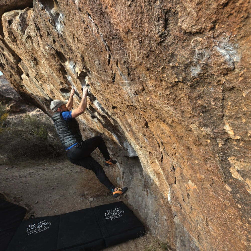 

Filename: SRM_20230217_1650270.jpg
Aperture: f/5.6
Shutter Speed: 1/400
Body: Canon EOS R6
Lens: Canon EF 16-35mm f/2.8 L