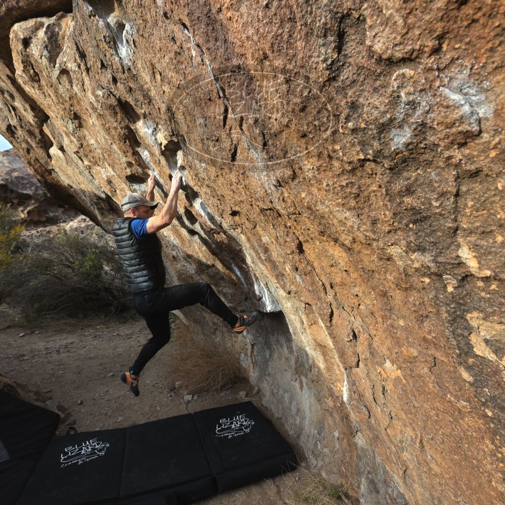 

Filename: SRM_20230217_1650271.jpg
Aperture: f/5.6
Shutter Speed: 1/400
Body: Canon EOS R6
Lens: Canon EF 16-35mm f/2.8 L