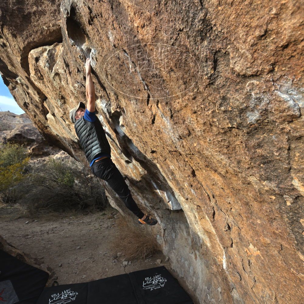 

Filename: SRM_20230217_1650370.jpg
Aperture: f/5.6
Shutter Speed: 1/400
Body: Canon EOS R6
Lens: Canon EF 16-35mm f/2.8 L