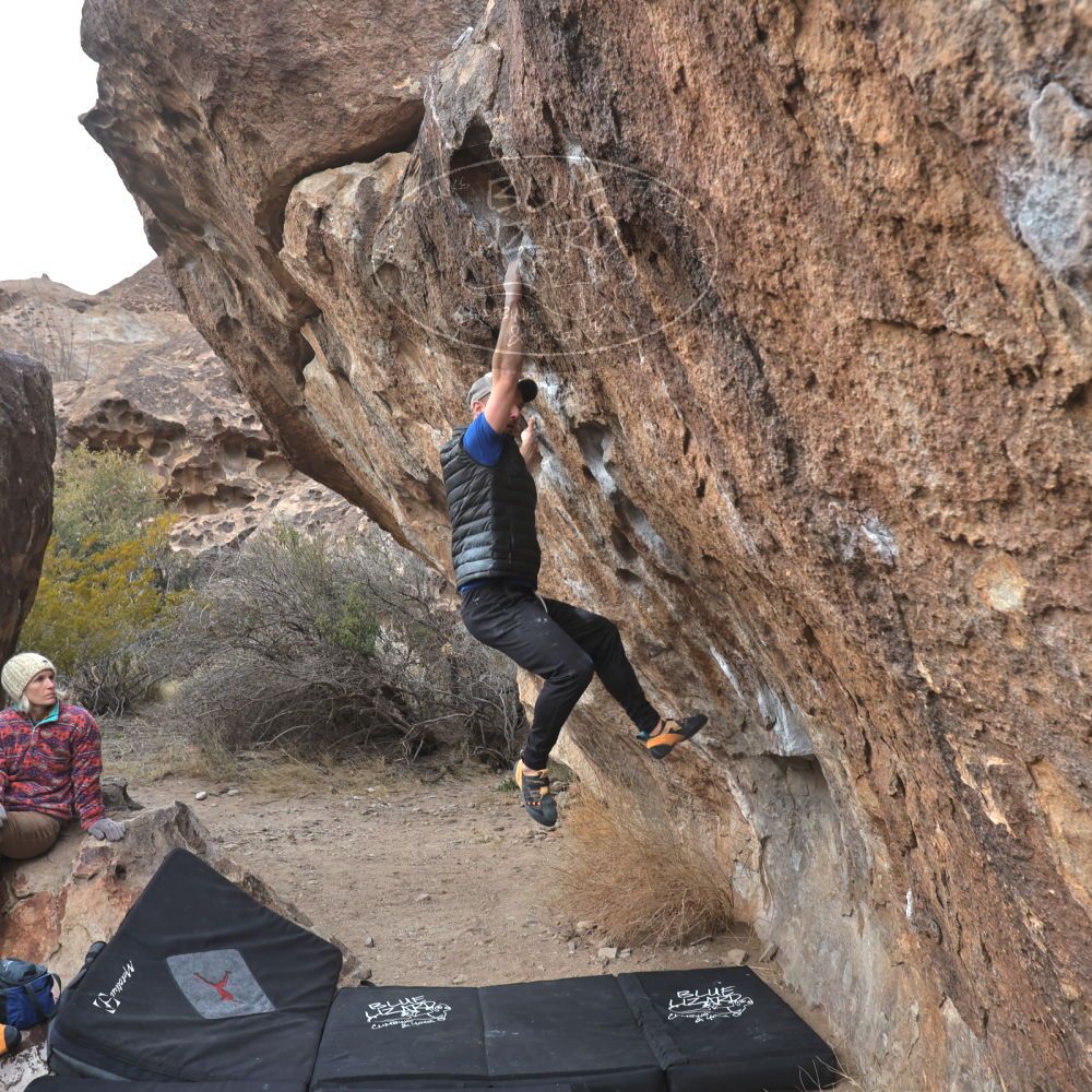 

Filename: SRM_20230217_1708250.jpg
Aperture: f/5.6
Shutter Speed: 1/400
Body: Canon EOS R6
Lens: Canon EF 16-35mm f/2.8 L