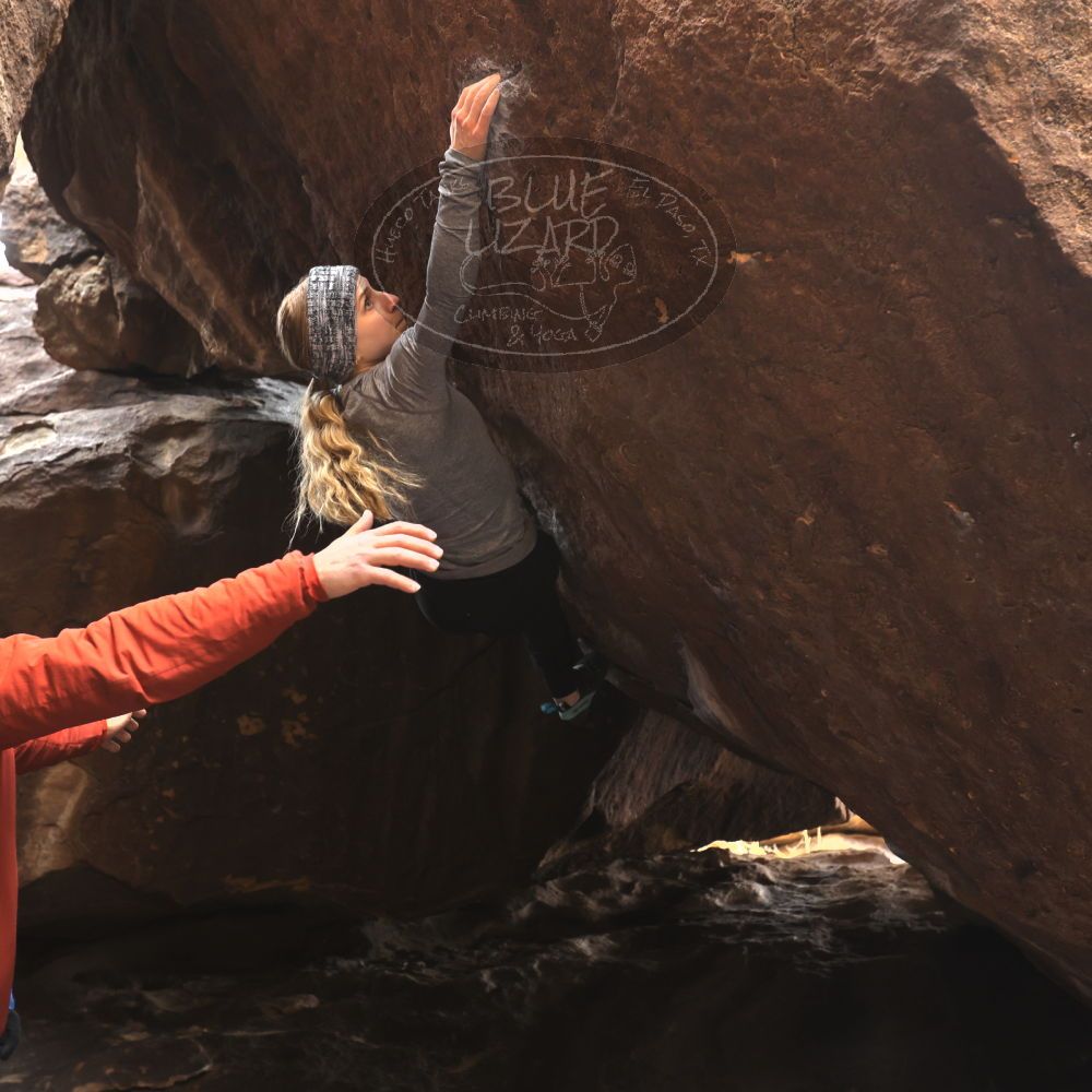 

Filename: SRM_20230218_1116081.jpg
Aperture: f/4.0
Shutter Speed: 1/320
Body: Canon EOS R6
Lens: Canon EF 16-35mm f/2.8 L