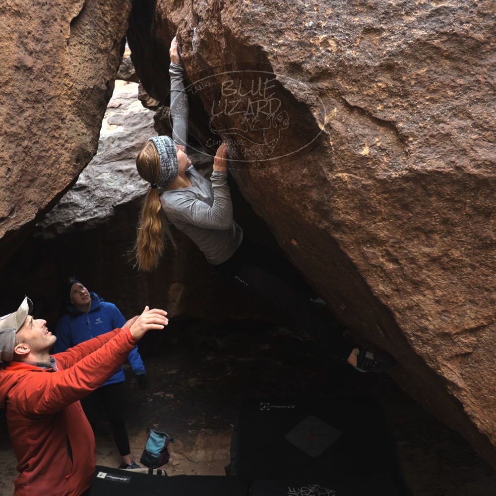 

Filename: SRM_20230218_1116150.jpg
Aperture: f/4.0
Shutter Speed: 1/320
Body: Canon EOS R6
Lens: Canon EF 16-35mm f/2.8 L