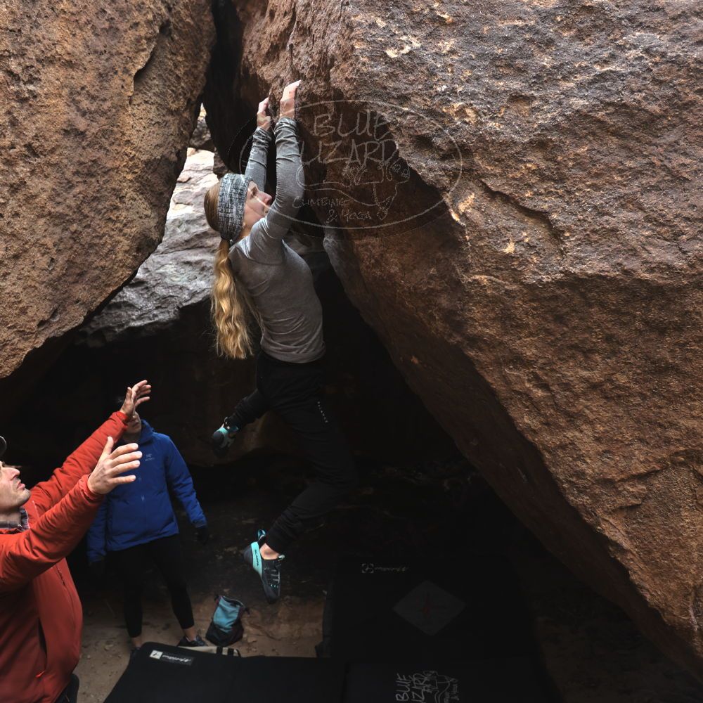 

Filename: SRM_20230218_1116200.jpg
Aperture: f/4.0
Shutter Speed: 1/320
Body: Canon EOS R6
Lens: Canon EF 16-35mm f/2.8 L