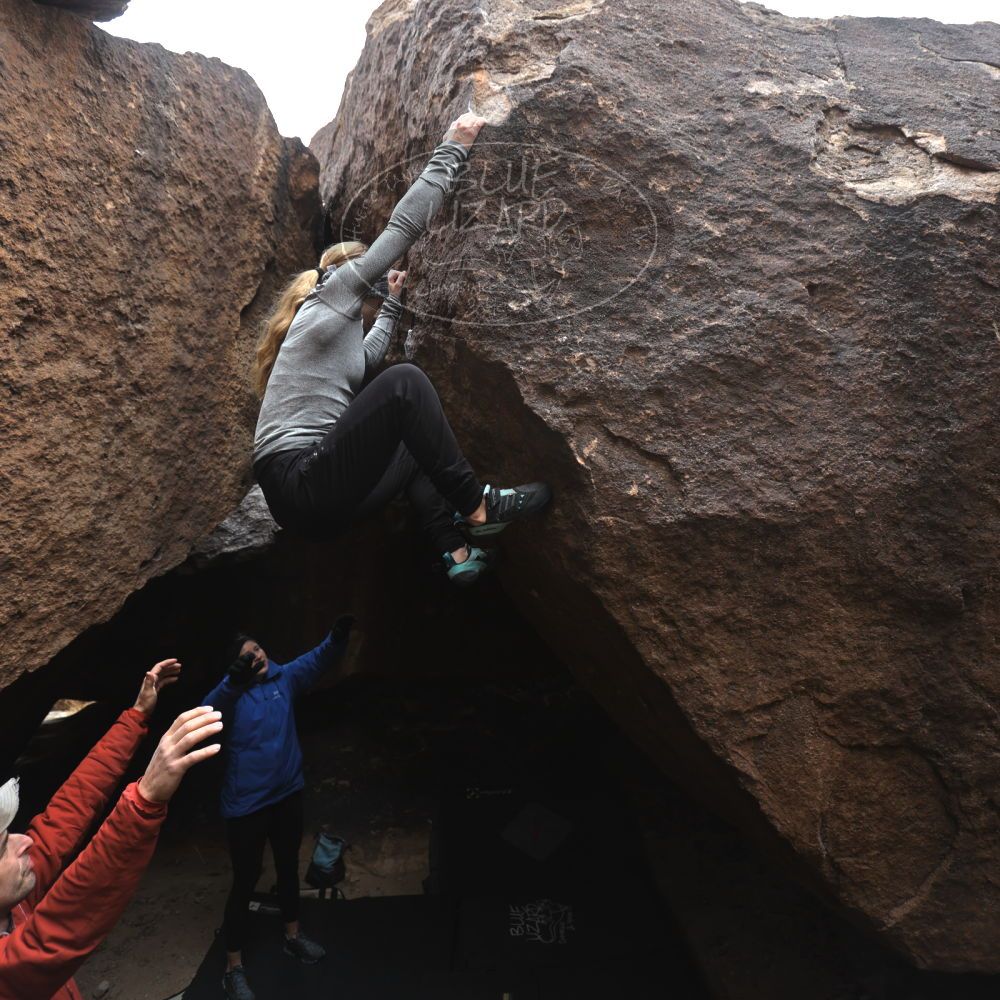 

Filename: SRM_20230218_1116380.jpg
Aperture: f/4.0
Shutter Speed: 1/320
Body: Canon EOS R6
Lens: Canon EF 16-35mm f/2.8 L