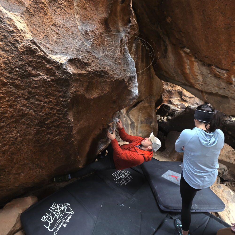 

Filename: SRM_20230218_1136320.jpg
Aperture: f/4.0
Shutter Speed: 1/320
Body: Canon EOS R6
Lens: Canon EF 16-35mm f/2.8 L