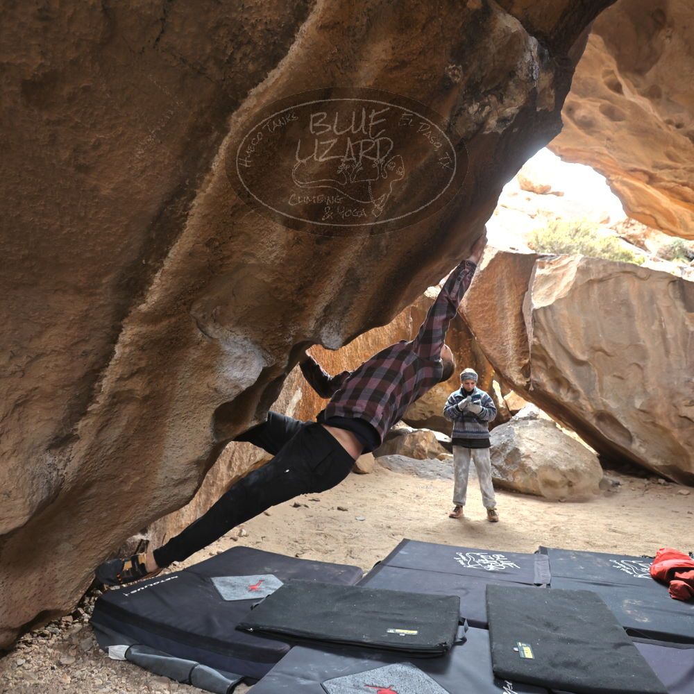 

Filename: SRM_20230218_1215151.jpg
Aperture: f/4.0
Shutter Speed: 1/400
Body: Canon EOS R6
Lens: Canon EF 16-35mm f/2.8 L