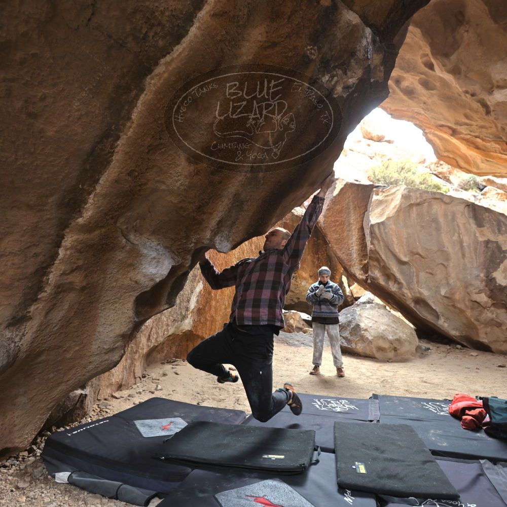 

Filename: SRM_20230218_1215163.jpg
Aperture: f/4.0
Shutter Speed: 1/400
Body: Canon EOS R6
Lens: Canon EF 16-35mm f/2.8 L