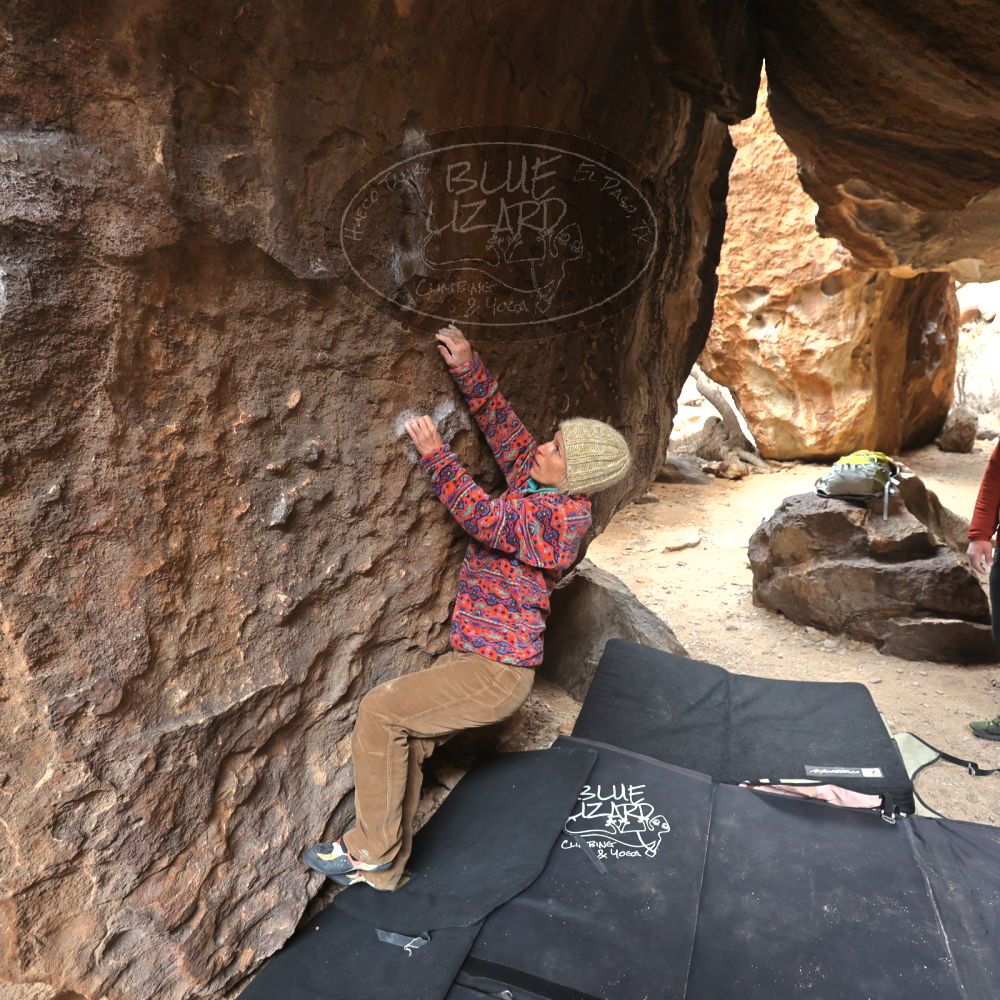 

Filename: SRM_20230218_1224371.jpg
Aperture: f/4.0
Shutter Speed: 1/400
Body: Canon EOS R6
Lens: Canon EF 16-35mm f/2.8 L