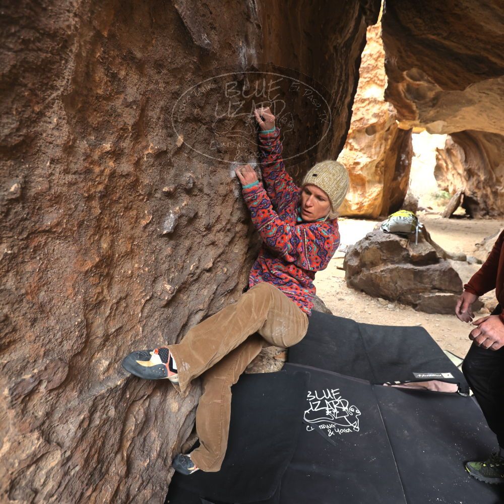 

Filename: SRM_20230218_1227530.jpg
Aperture: f/4.0
Shutter Speed: 1/400
Body: Canon EOS R6
Lens: Canon EF 16-35mm f/2.8 L