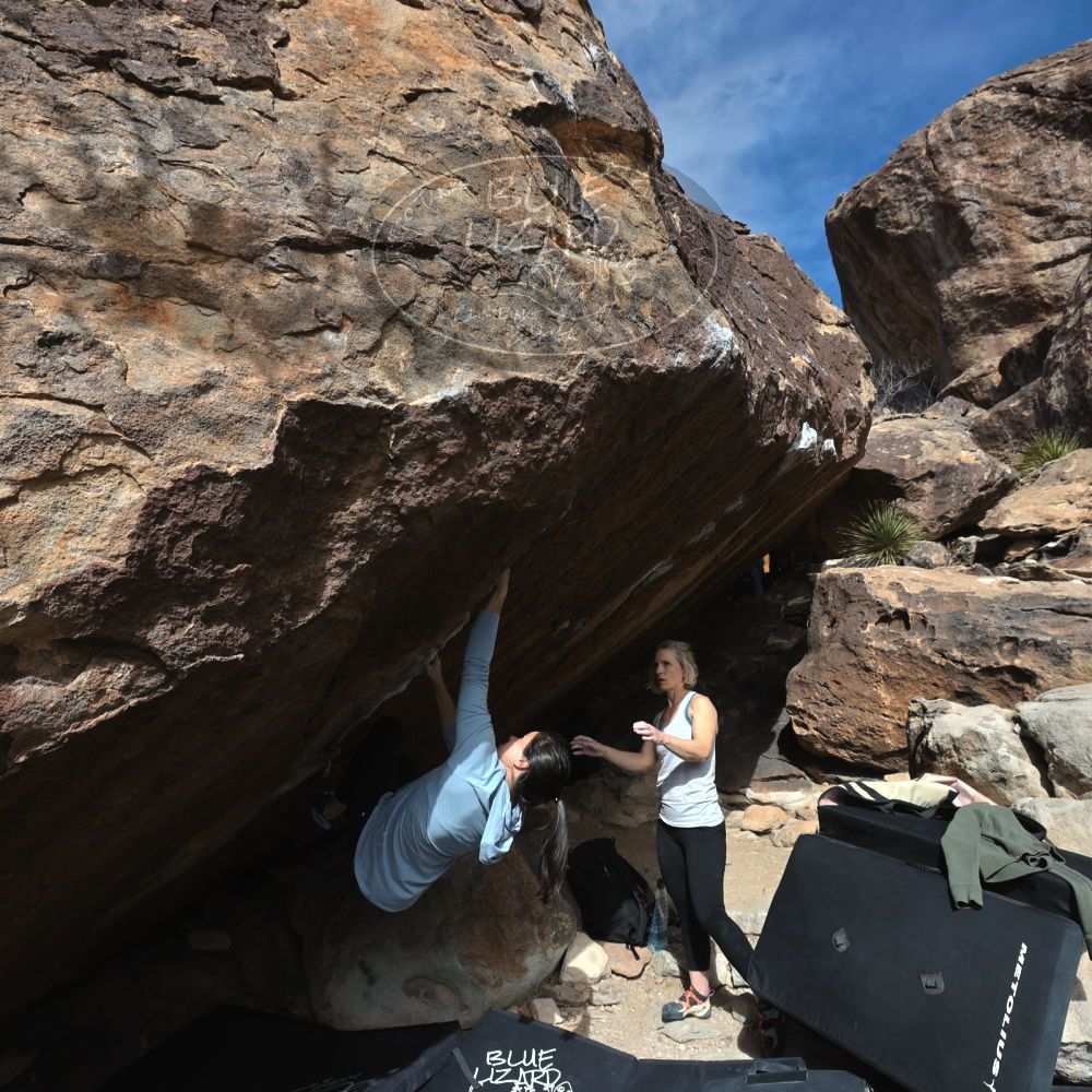 

Filename: SRM_20230218_1334510.jpg
Aperture: f/8.0
Shutter Speed: 1/500
Body: Canon EOS R6
Lens: Canon EF 16-35mm f/2.8 L