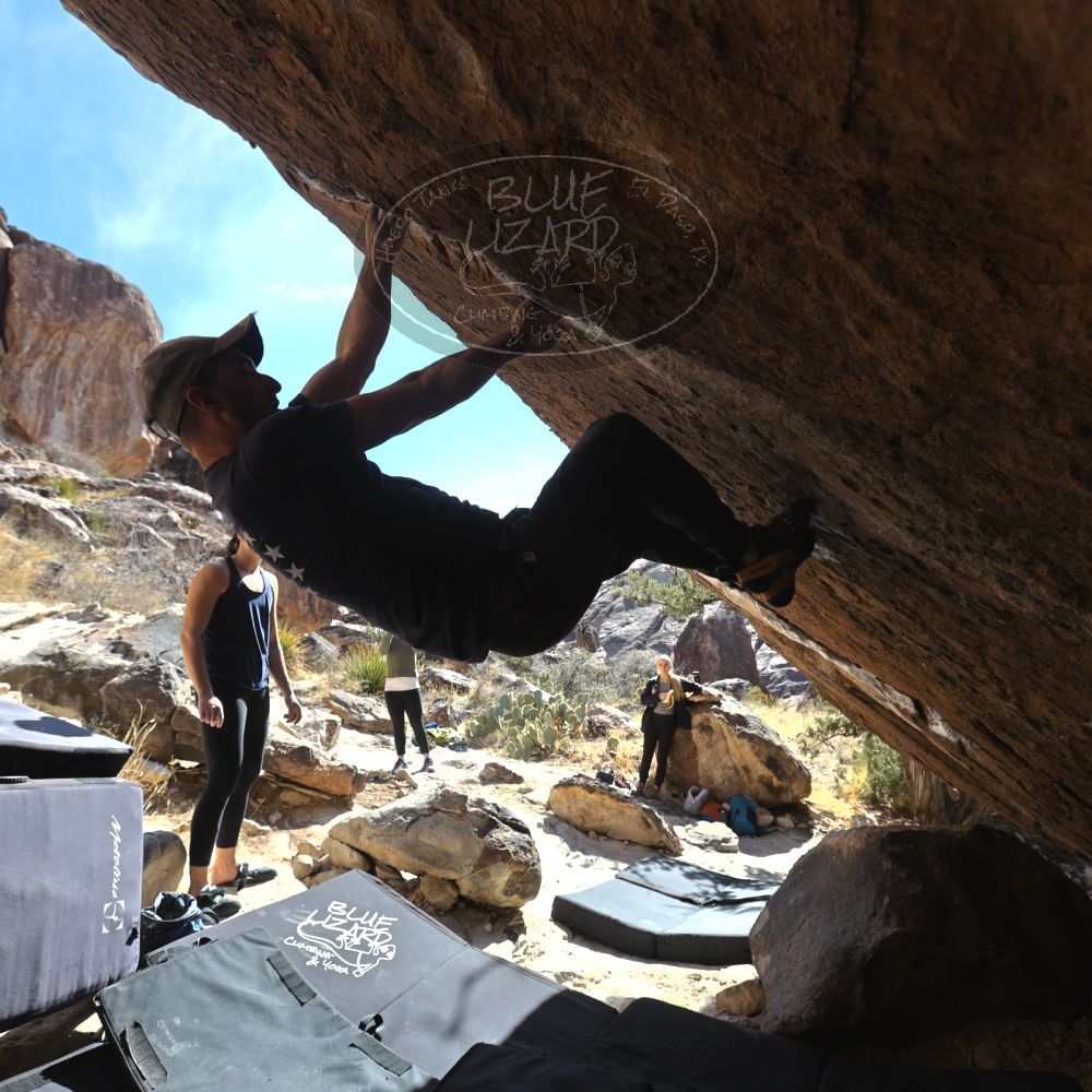 

Filename: SRM_20230218_1413490.jpg
Aperture: f/5.6
Shutter Speed: 1/500
Body: Canon EOS R6
Lens: Canon EF 16-35mm f/2.8 L