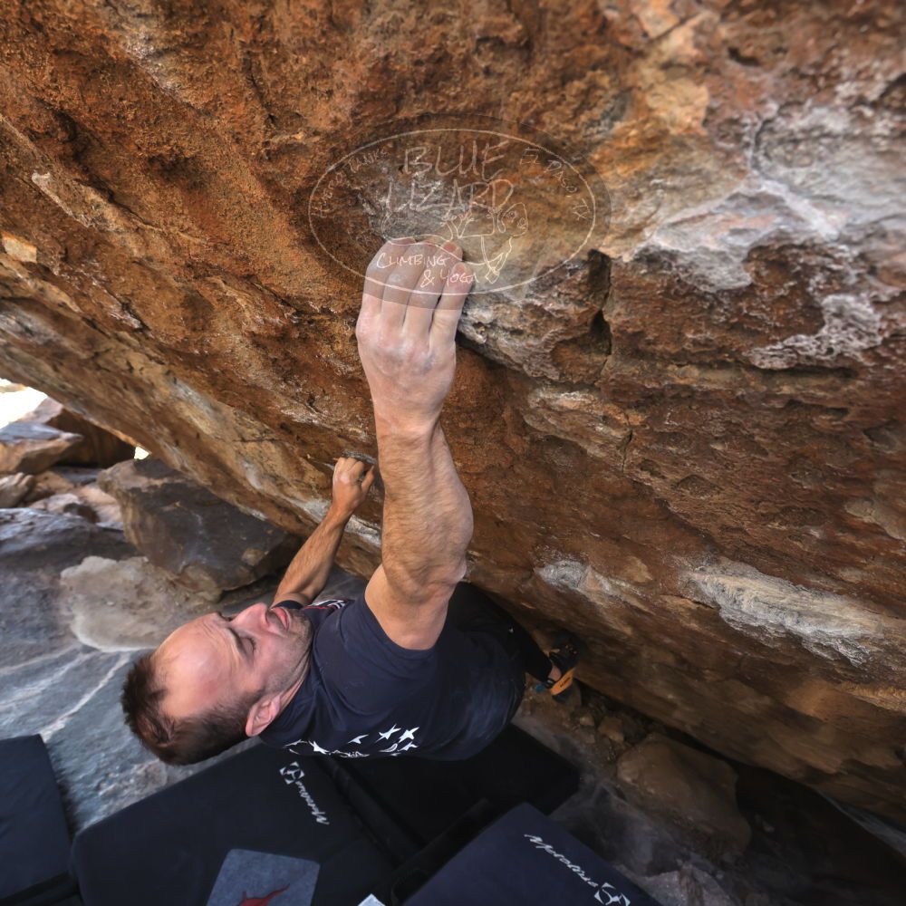 

Filename: SRM_20230218_1447431.jpg
Aperture: f/5.6
Shutter Speed: 1/320
Body: Canon EOS R6
Lens: Canon EF 16-35mm f/2.8 L