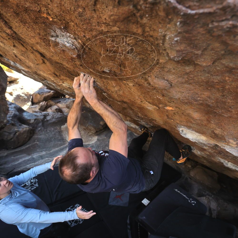 

Filename: SRM_20230218_1447511.jpg
Aperture: f/5.6
Shutter Speed: 1/320
Body: Canon EOS R6
Lens: Canon EF 16-35mm f/2.8 L