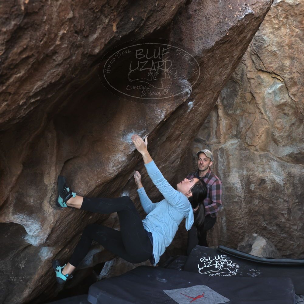 

Filename: SRM_20230218_1658280.jpg
Aperture: f/5.6
Shutter Speed: 1/320
Body: Canon EOS R6
Lens: Canon EF 16-35mm f/2.8 L