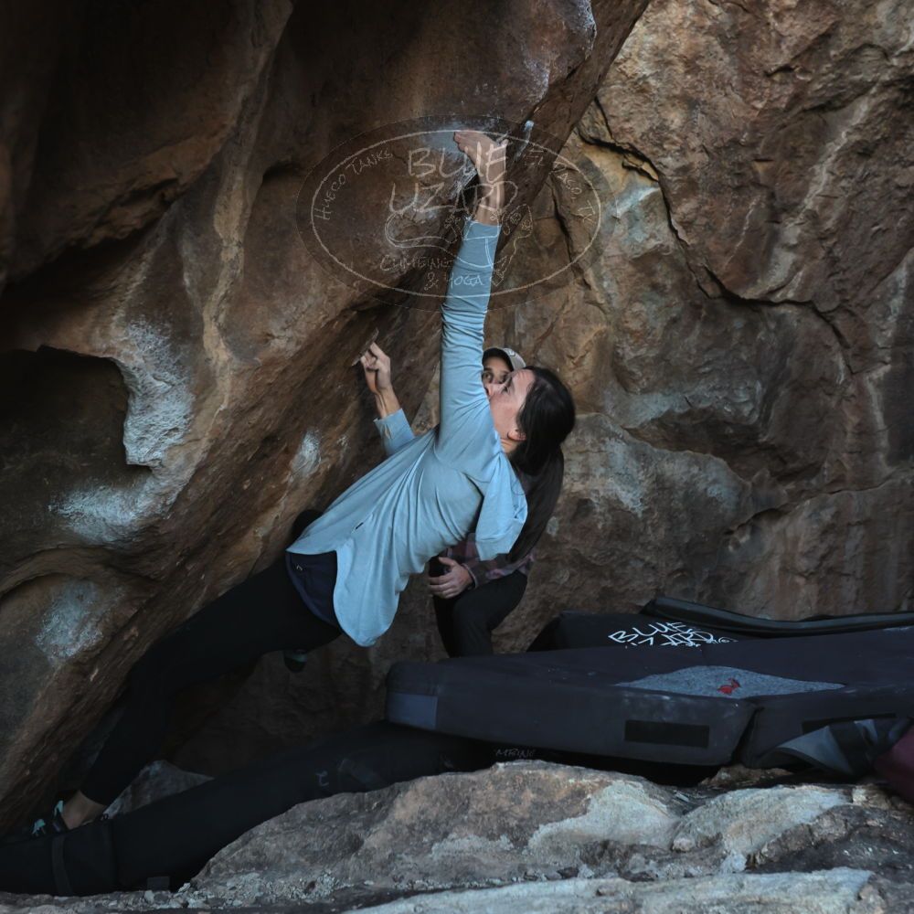 

Filename: SRM_20230218_1715570.jpg
Aperture: f/5.6
Shutter Speed: 1/320
Body: Canon EOS R6
Lens: Canon EF 16-35mm f/2.8 L