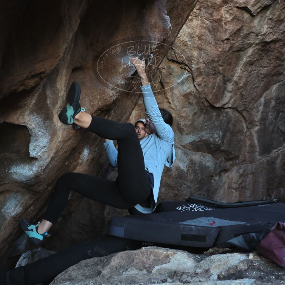 

Filename: SRM_20230218_1716020.jpg
Aperture: f/5.6
Shutter Speed: 1/320
Body: Canon EOS R6
Lens: Canon EF 16-35mm f/2.8 L