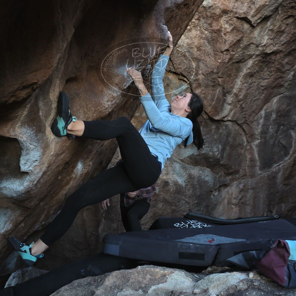 

Filename: SRM_20230218_1716030.jpg
Aperture: f/5.6
Shutter Speed: 1/320
Body: Canon EOS R6
Lens: Canon EF 16-35mm f/2.8 L