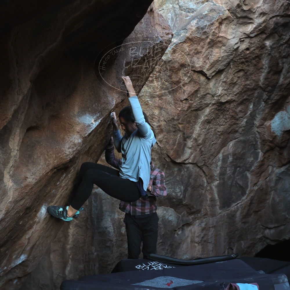 

Filename: SRM_20230218_1716110.jpg
Aperture: f/5.6
Shutter Speed: 1/320
Body: Canon EOS R6
Lens: Canon EF 16-35mm f/2.8 L