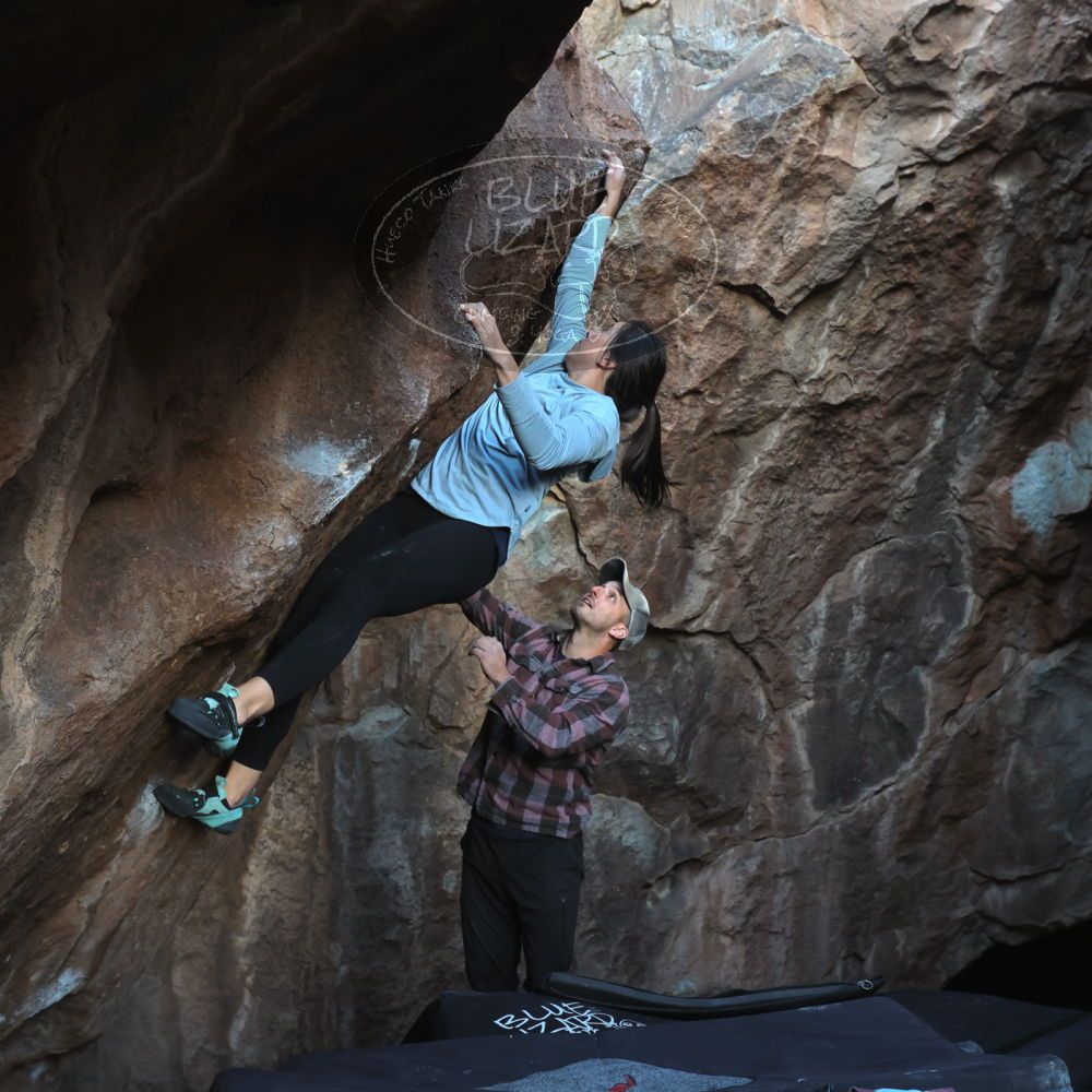 

Filename: SRM_20230218_1716180.jpg
Aperture: f/5.6
Shutter Speed: 1/320
Body: Canon EOS R6
Lens: Canon EF 16-35mm f/2.8 L