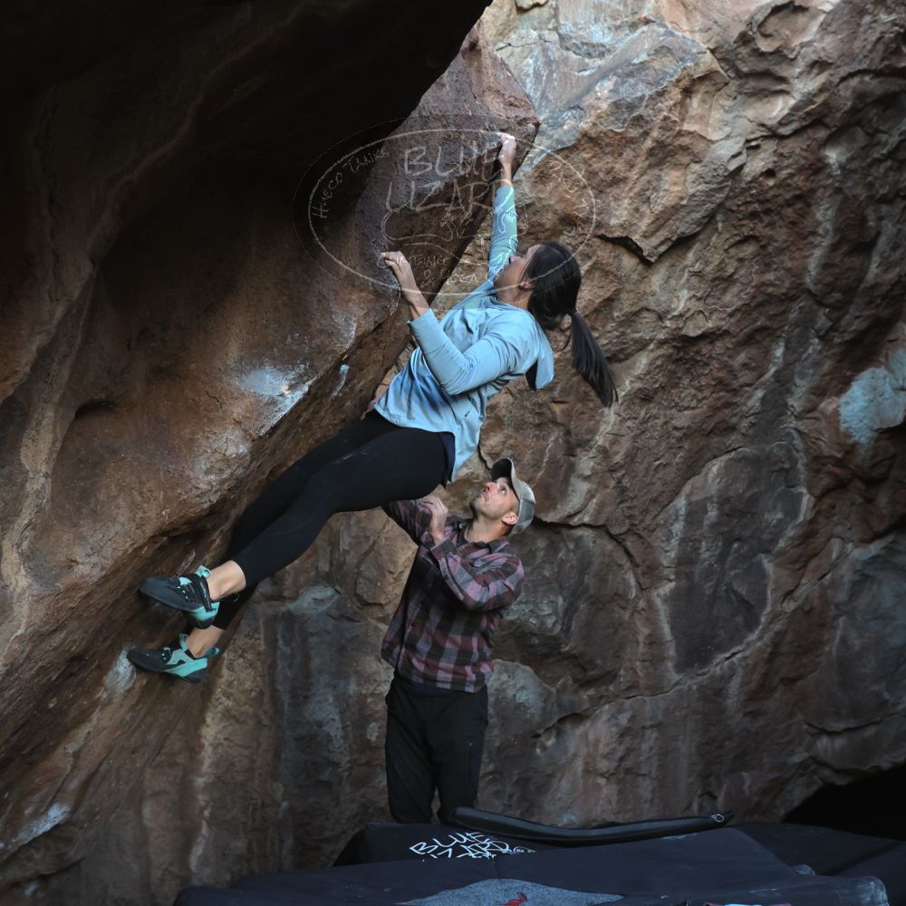 

Filename: SRM_20230218_1716182.jpg
Aperture: f/5.6
Shutter Speed: 1/320
Body: Canon EOS R6
Lens: Canon EF 16-35mm f/2.8 L