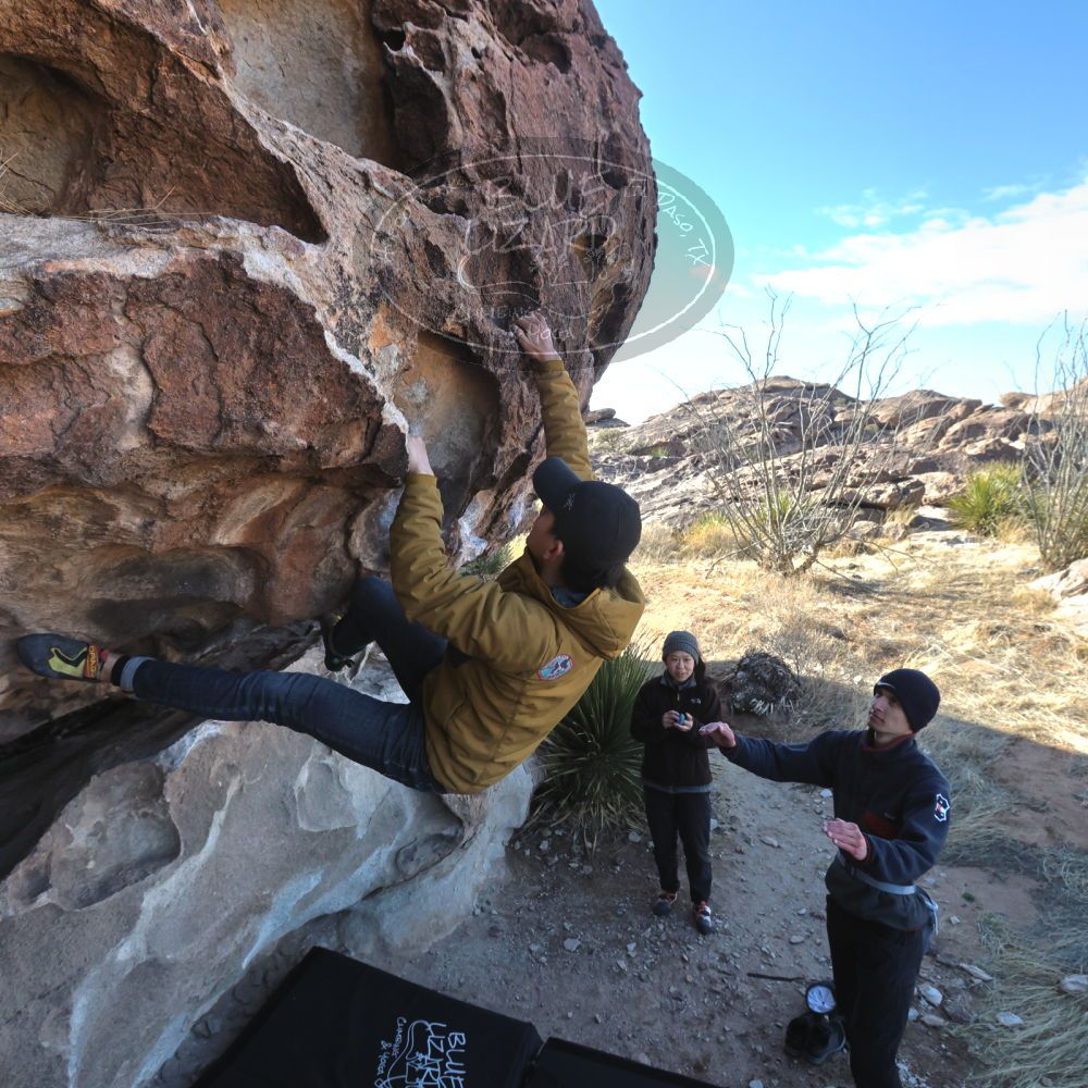 

Filename: SRM_20230222_0905360.jpg
Aperture: f/8.0
Shutter Speed: 1/800
Body: Canon EOS R6
Lens: Canon EF 16-35mm f/2.8 L