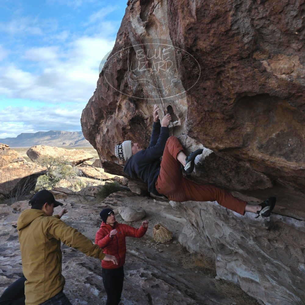 

Filename: SRM_20230222_0912360.jpg
Aperture: f/8.0
Shutter Speed: 1/800
Body: Canon EOS R6
Lens: Canon EF 16-35mm f/2.8 L