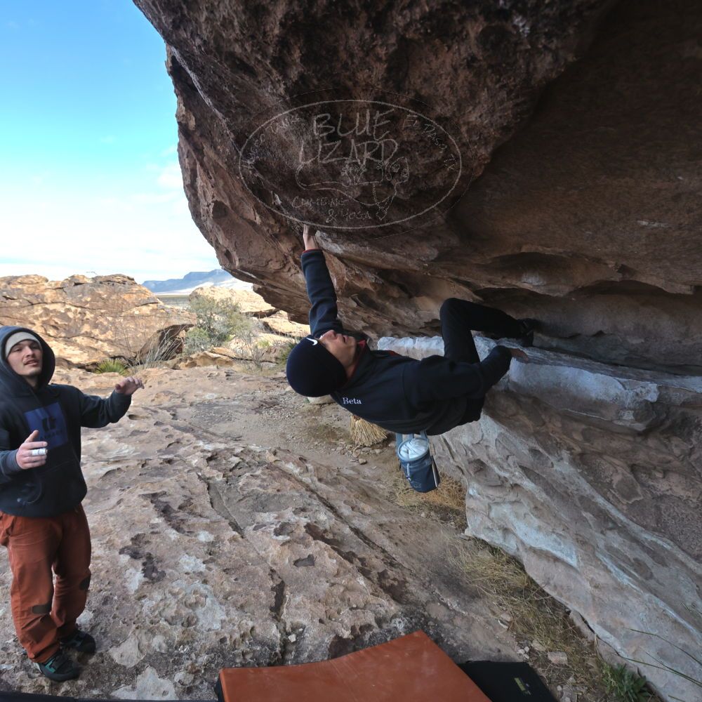 

Filename: SRM_20230222_0920020.jpg
Aperture: f/8.0
Shutter Speed: 1/1000
Body: Canon EOS R6
Lens: Canon EF 16-35mm f/2.8 L