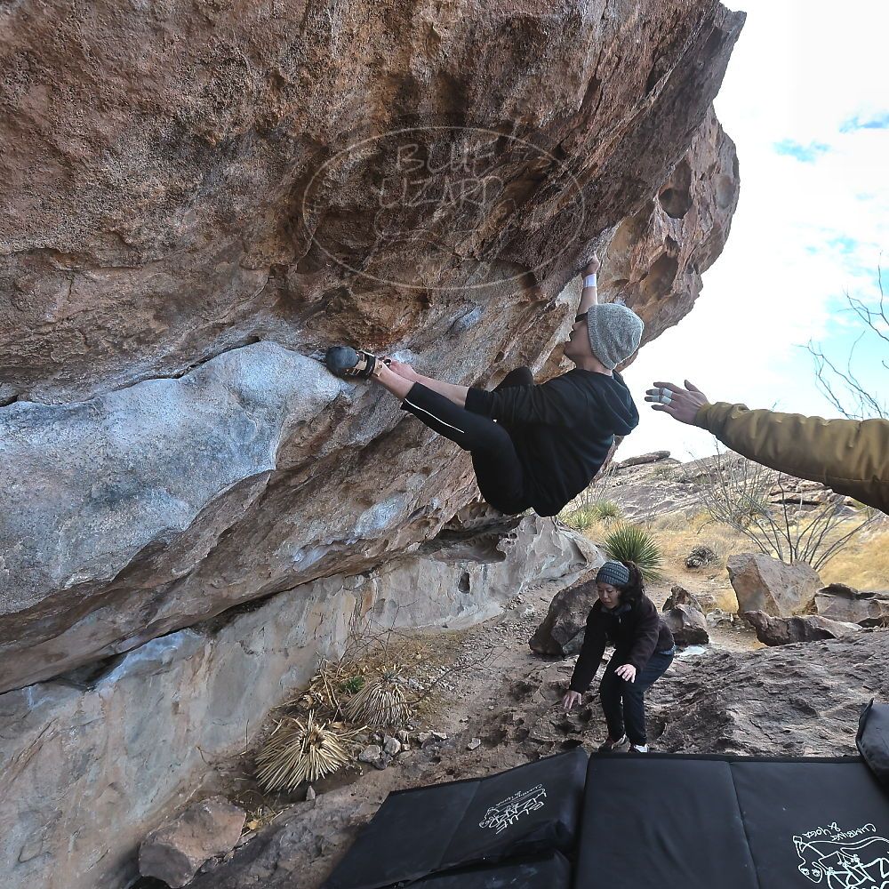 

Filename: SRM_20230222_0937200.jpg
Aperture: f/8.0
Shutter Speed: 1/640
Body: Canon EOS R6
Lens: Canon EF 16-35mm f/2.8 L