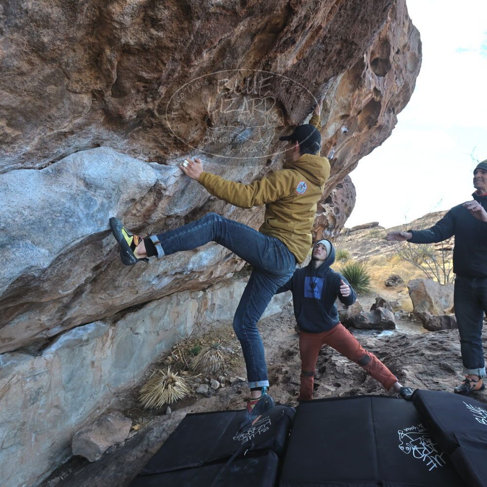 Filename: SRM_20230222_0945471.jpg
Aperture: f/5.6
Shutter Speed: 1/500
Body: Canon EOS R6
Lens: Canon EF 16-35mm f/2.8 L