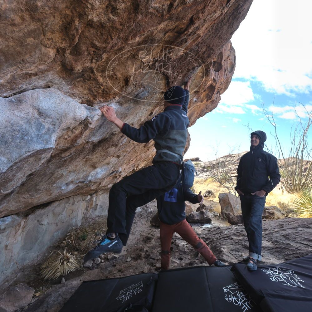 

Filename: SRM_20230222_0948001.jpg
Aperture: f/5.6
Shutter Speed: 1/500
Body: Canon EOS R6
Lens: Canon EF 16-35mm f/2.8 L