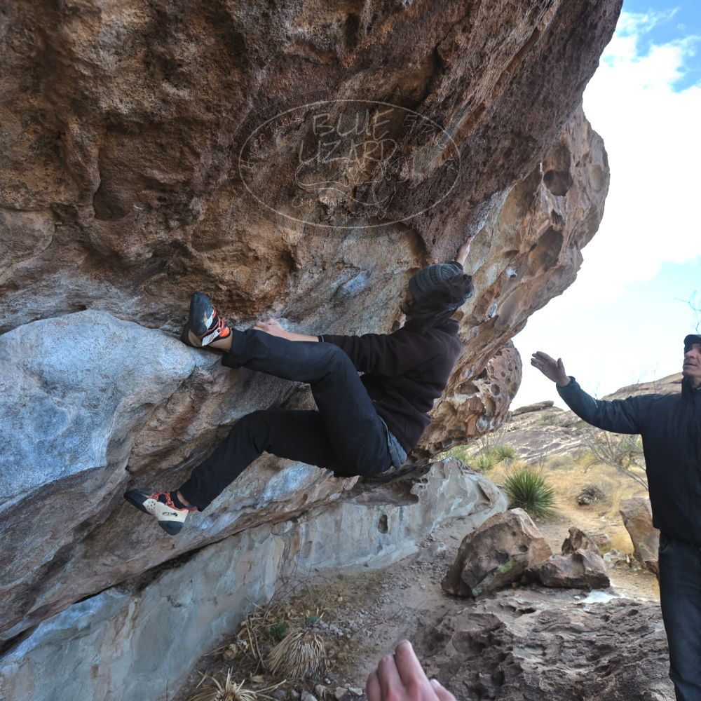 Filename: SRM_20230222_0950300.jpg
Aperture: f/5.6
Shutter Speed: 1/500
Body: Canon EOS R6
Lens: Canon EF 16-35mm f/2.8 L