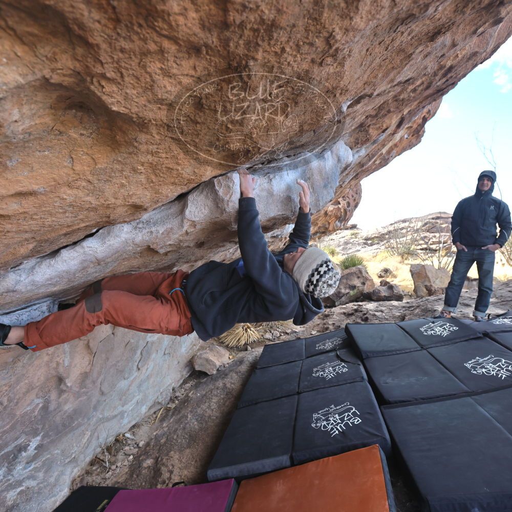 Filename: SRM_20230222_0954330.jpg
Aperture: f/5.6
Shutter Speed: 1/500
Body: Canon EOS R6
Lens: Canon EF 16-35mm f/2.8 L