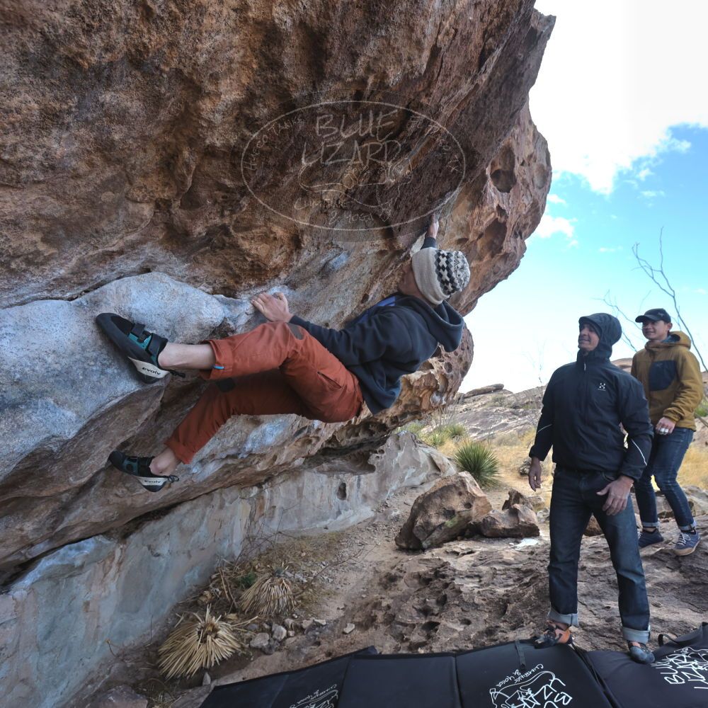 Filename: SRM_20230222_0954581.jpg
Aperture: f/5.6
Shutter Speed: 1/500
Body: Canon EOS R6
Lens: Canon EF 16-35mm f/2.8 L