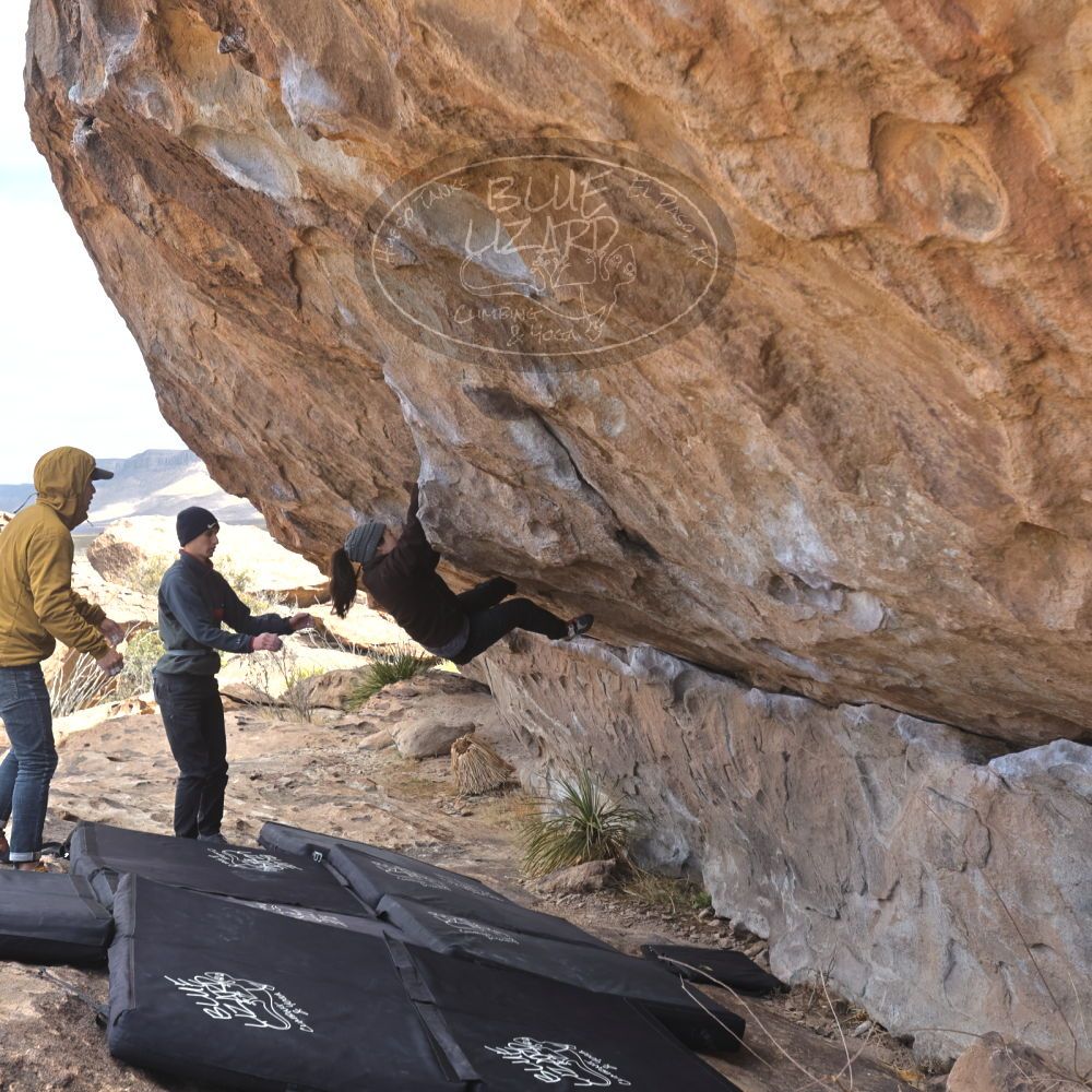 Filename: SRM_20230222_1009240.jpg
Aperture: f/5.6
Shutter Speed: 1/500
Body: Canon EOS R6
Lens: Canon EF 16-35mm f/2.8 L