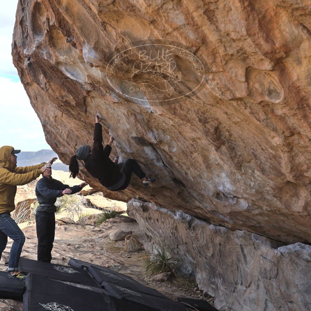 Filename: SRM_20230222_1009450.jpg
Aperture: f/5.6
Shutter Speed: 1/500
Body: Canon EOS R6
Lens: Canon EF 16-35mm f/2.8 L