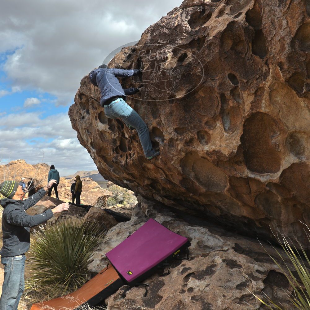 Filename: SRM_20230222_1010200.jpg
Aperture: f/5.6
Shutter Speed: 1/500
Body: Canon EOS R6
Lens: Canon EF 16-35mm f/2.8 L