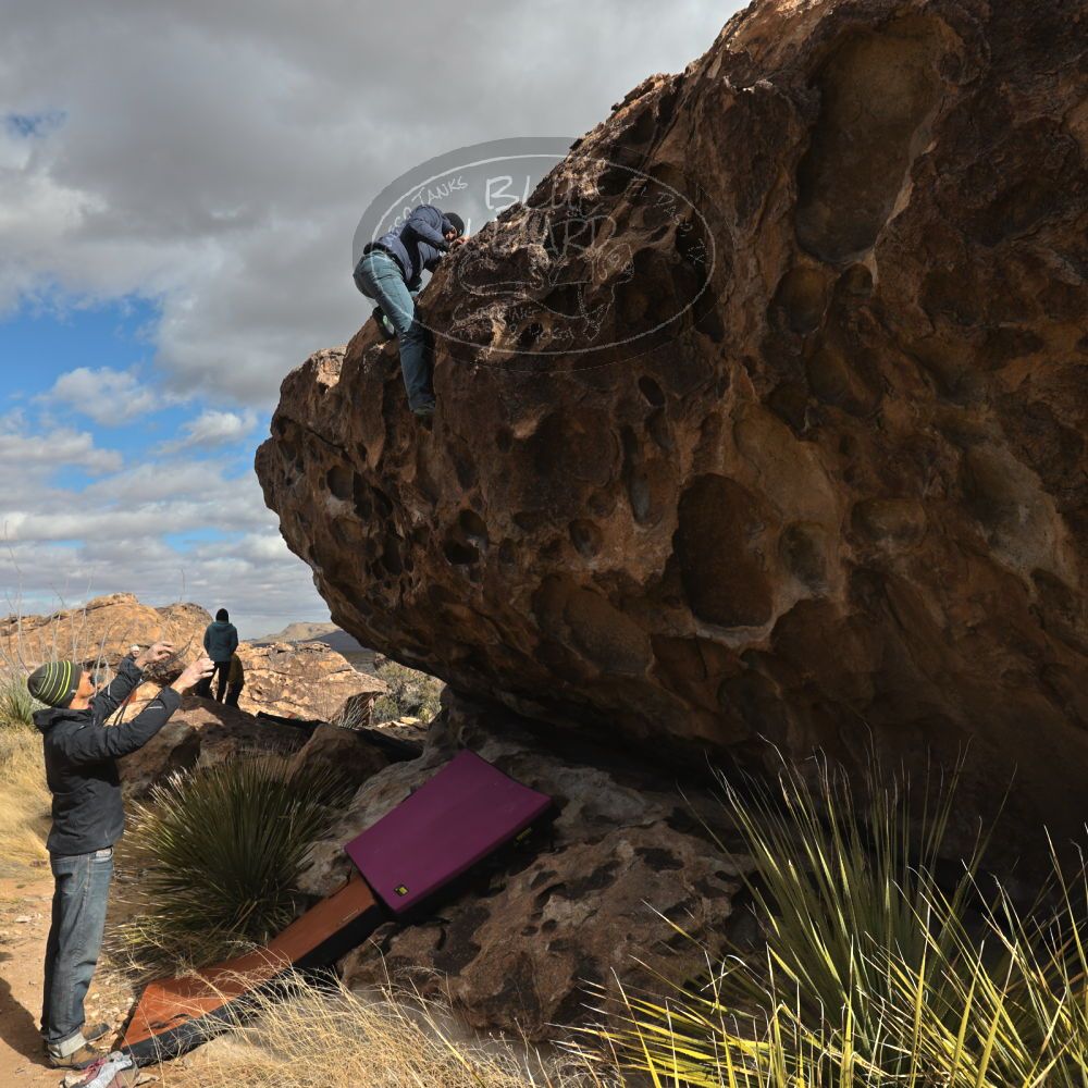 Filename: SRM_20230222_1010370.jpg
Aperture: f/8.0
Shutter Speed: 1/500
Body: Canon EOS R6
Lens: Canon EF 16-35mm f/2.8 L