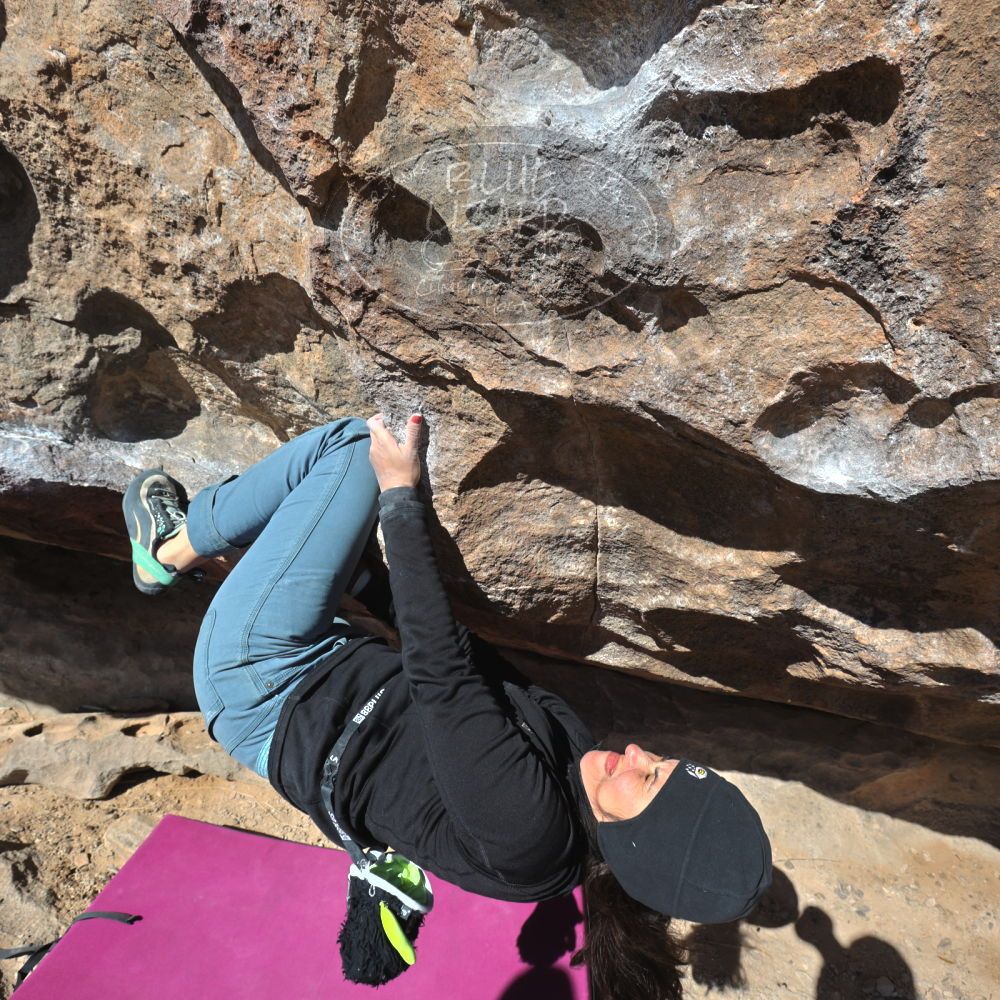 Filename: SRM_20230222_1037340.jpg
Aperture: f/8.0
Shutter Speed: 1/500
Body: Canon EOS R6
Lens: Canon EF 16-35mm f/2.8 L