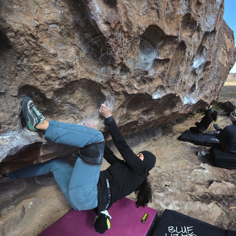 Filename: SRM_20230222_1040530.jpg
Aperture: f/8.0
Shutter Speed: 1/500
Body: Canon EOS R6
Lens: Canon EF 16-35mm f/2.8 L